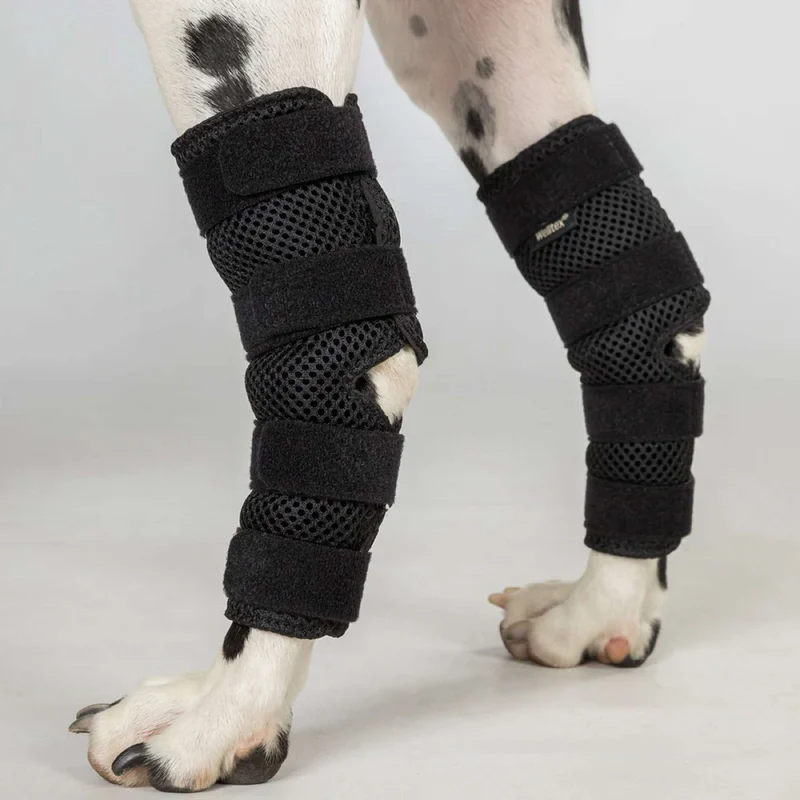 Back on Track Spronggewricht Beschermer Dixie Hond Zwart