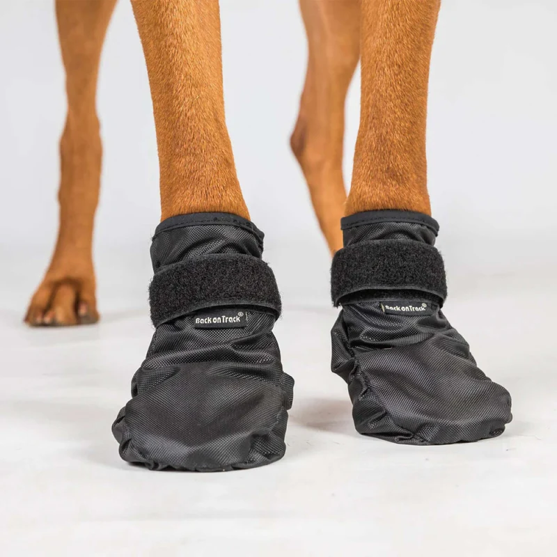 Back on Track Hondenschoenen Koda Zwart